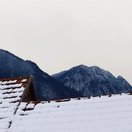 Hotel Casa Piatra Craiului Zărneşti Esterno foto