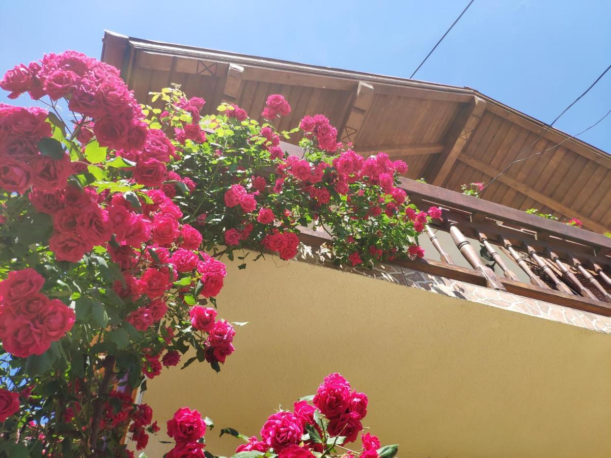 Hotel Casa Piatra Craiului Zărneşti Esterno foto