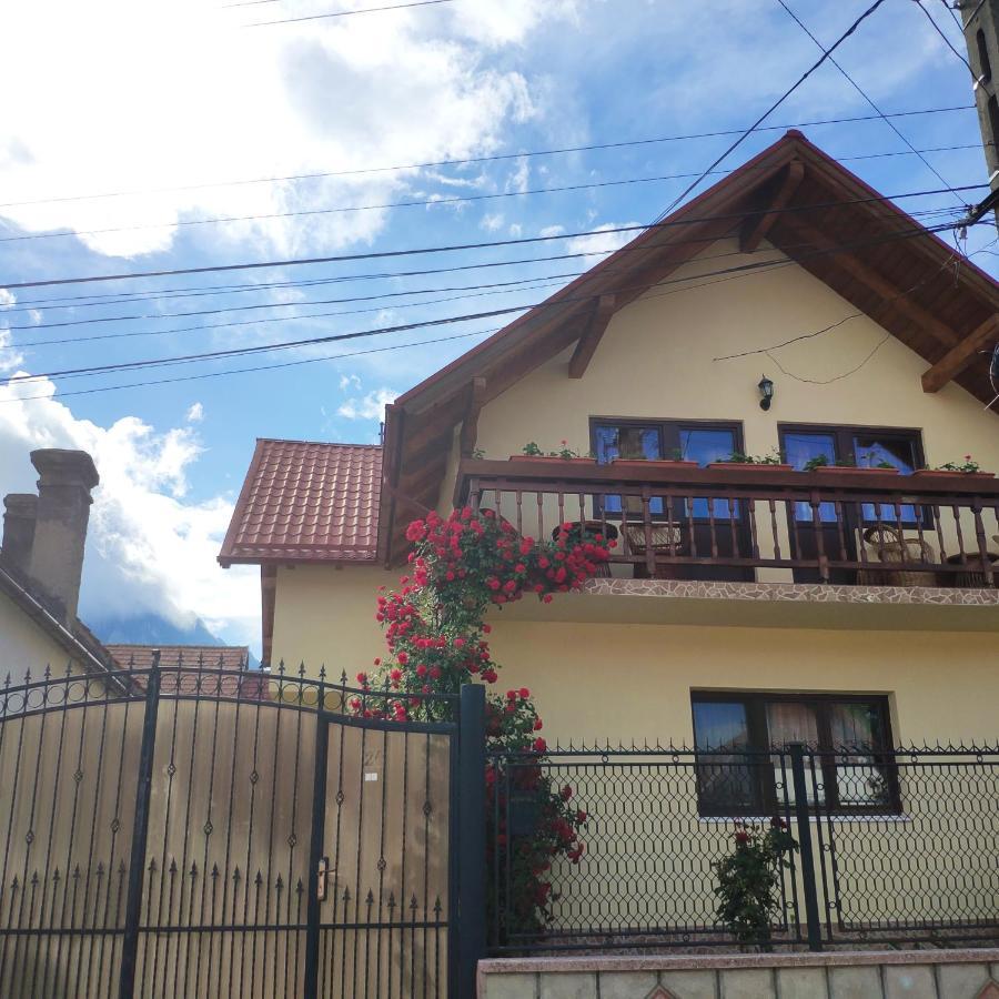 Hotel Casa Piatra Craiului Zărneşti Esterno foto