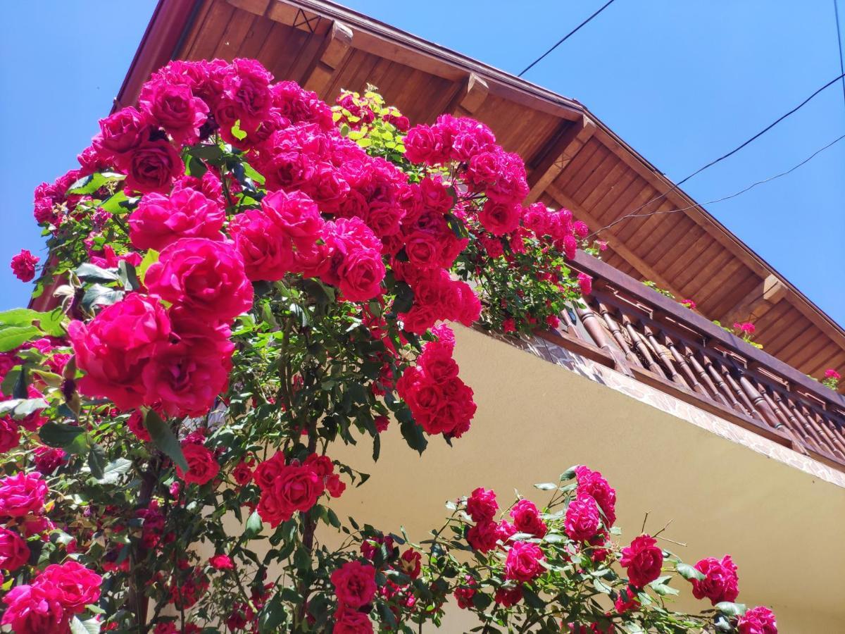 Hotel Casa Piatra Craiului Zărneşti Esterno foto